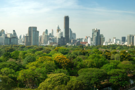florestas urbanas