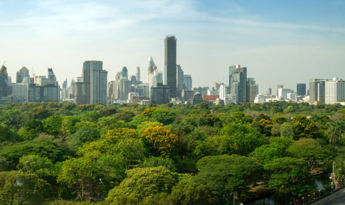 florestas urbanas