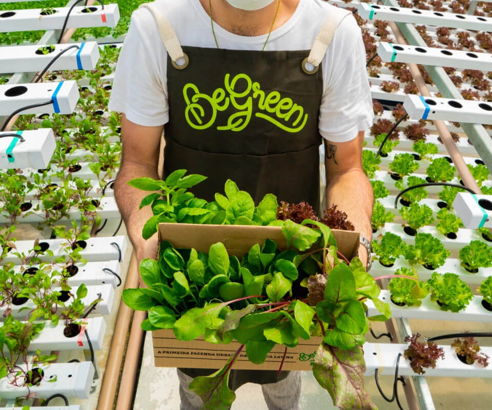 horta urbana