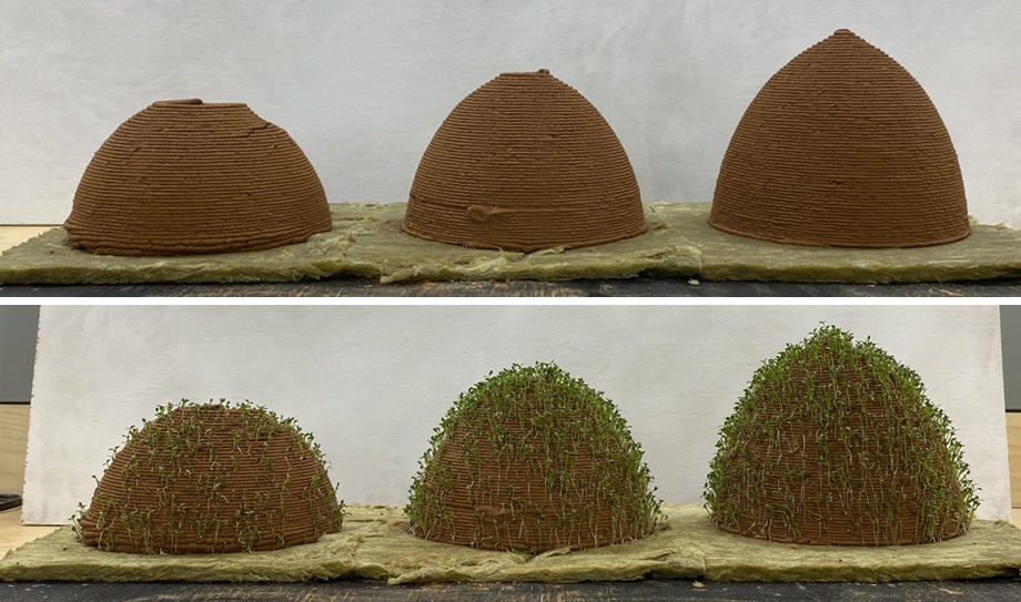 construcoes biodegradaveis