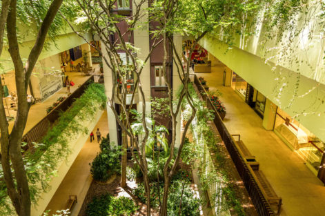 arquitetura regenerativa