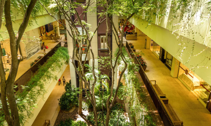 arquitetura regenerativa