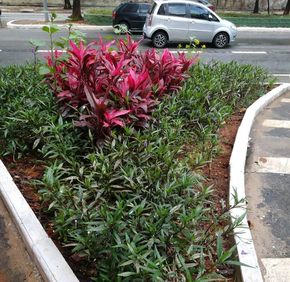 Jardins de Chuva