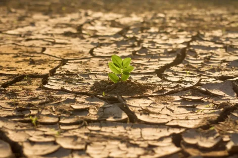 justica climatica