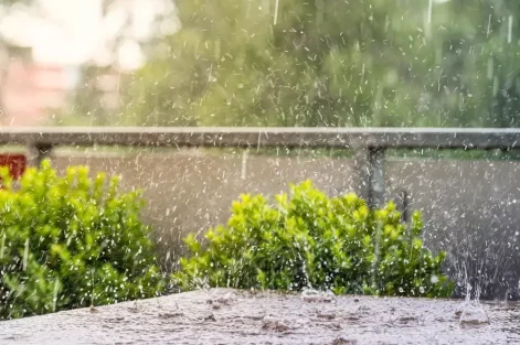 emergencia climatica