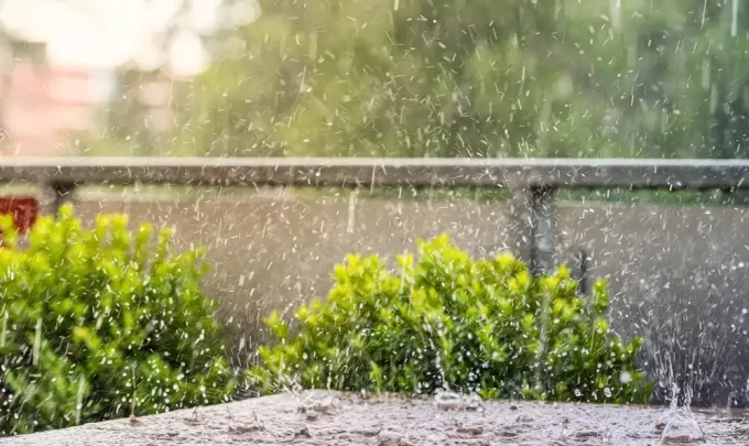 emergencia climatica