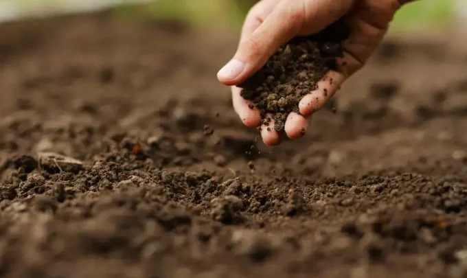 topsoil