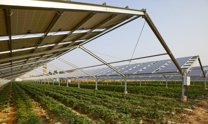 agrovoltaica