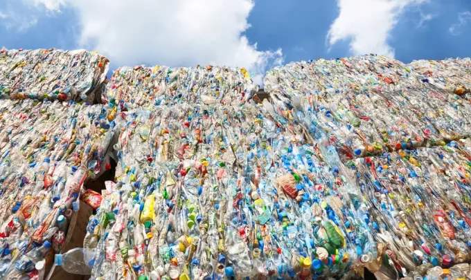 bacteria que decompoe plasticos