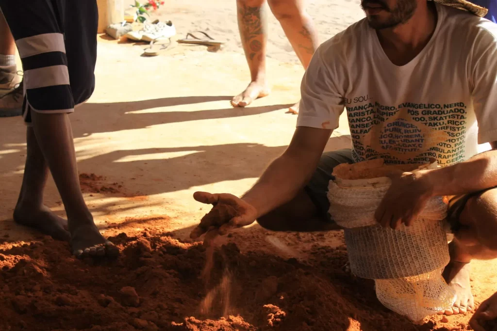 bioconstrucao