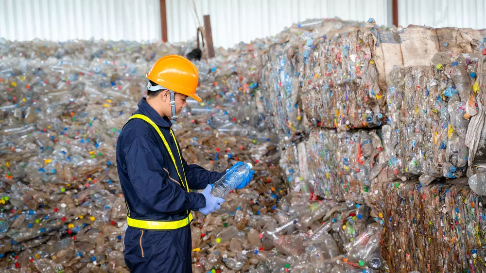 bacteria que decompoe plasticos