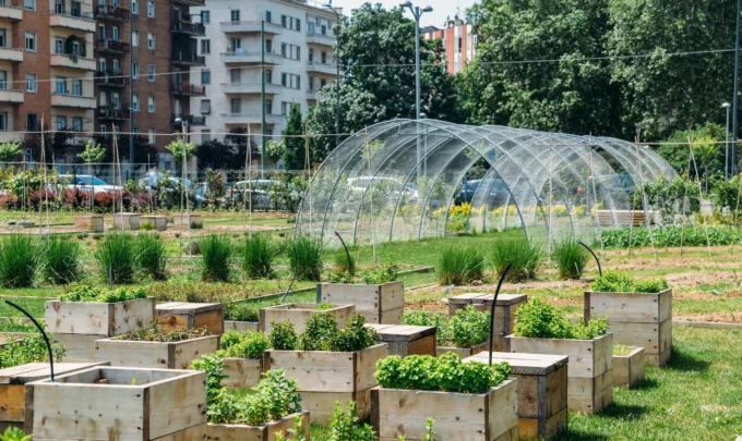 agricultura urbana