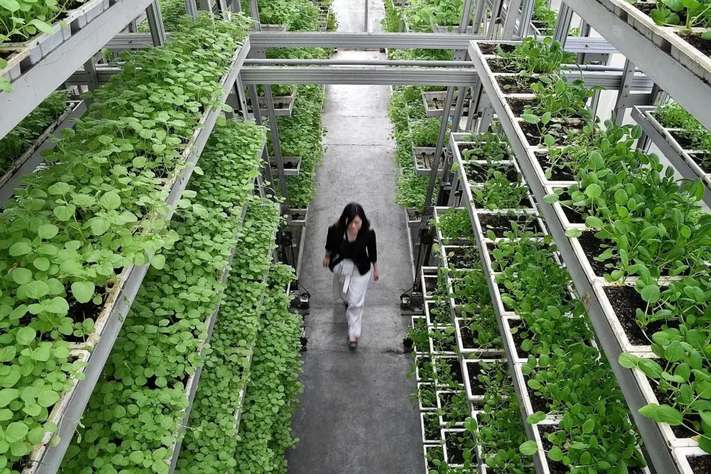 agricultura urbana