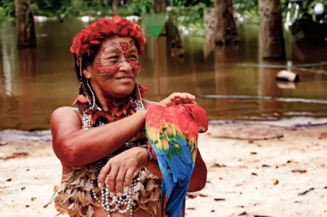 conhecimento indigena