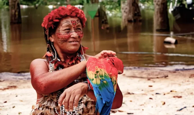conhecimento indigena