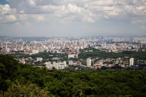 florestas urbanas