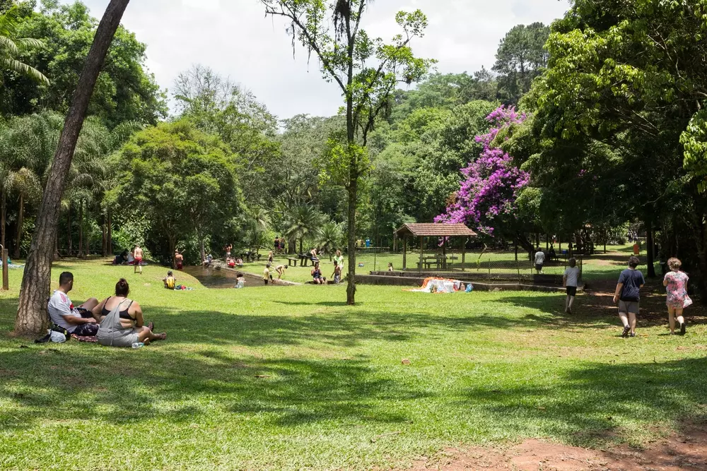 florestas urbanas