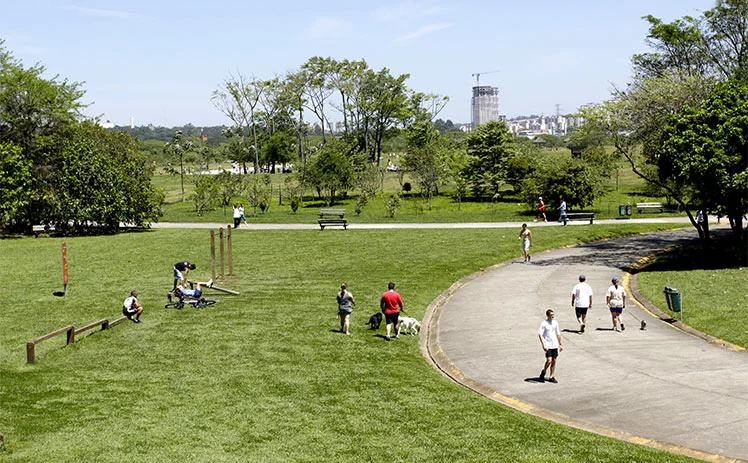 aterro sanitario