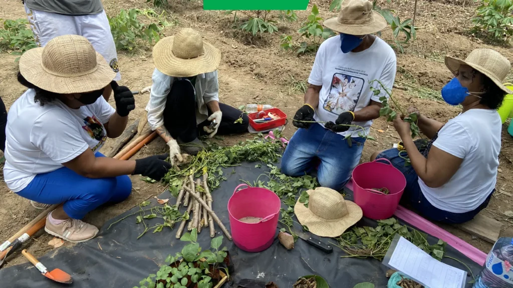 inseguranca alimentar