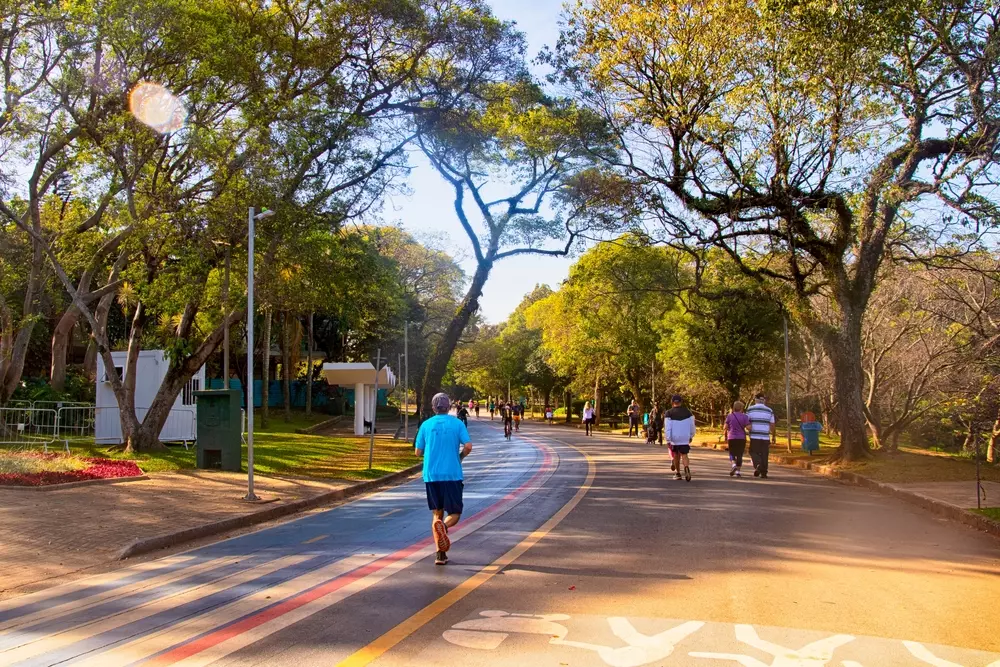 parque ibirapuera