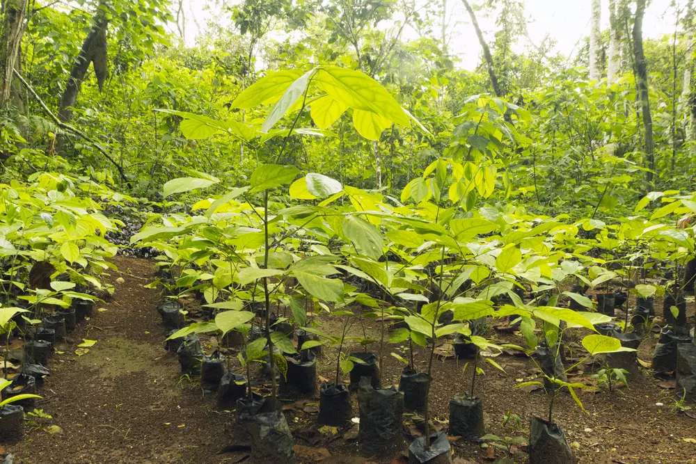 governanca das mudancas climaticas
