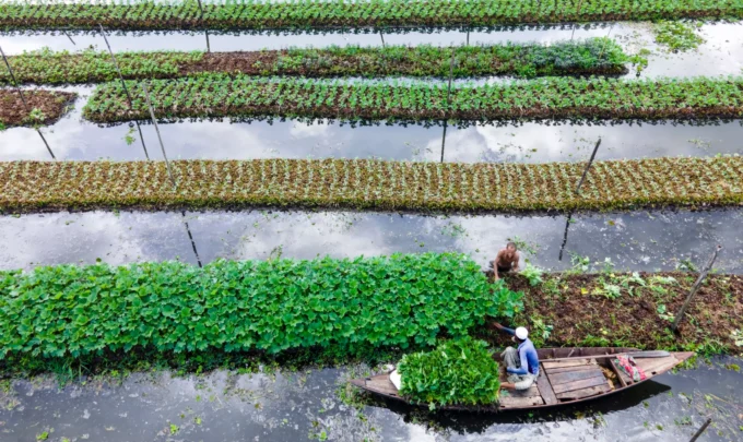 jardins flutuantes