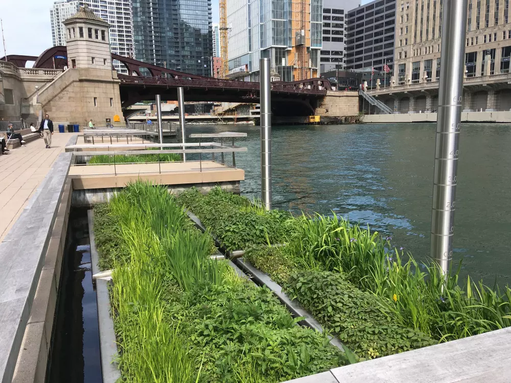 jardins flutuantes Chicago