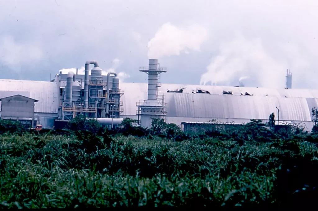 recuperação ambiental de Cubatão