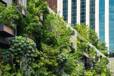 floresta tropical vertical