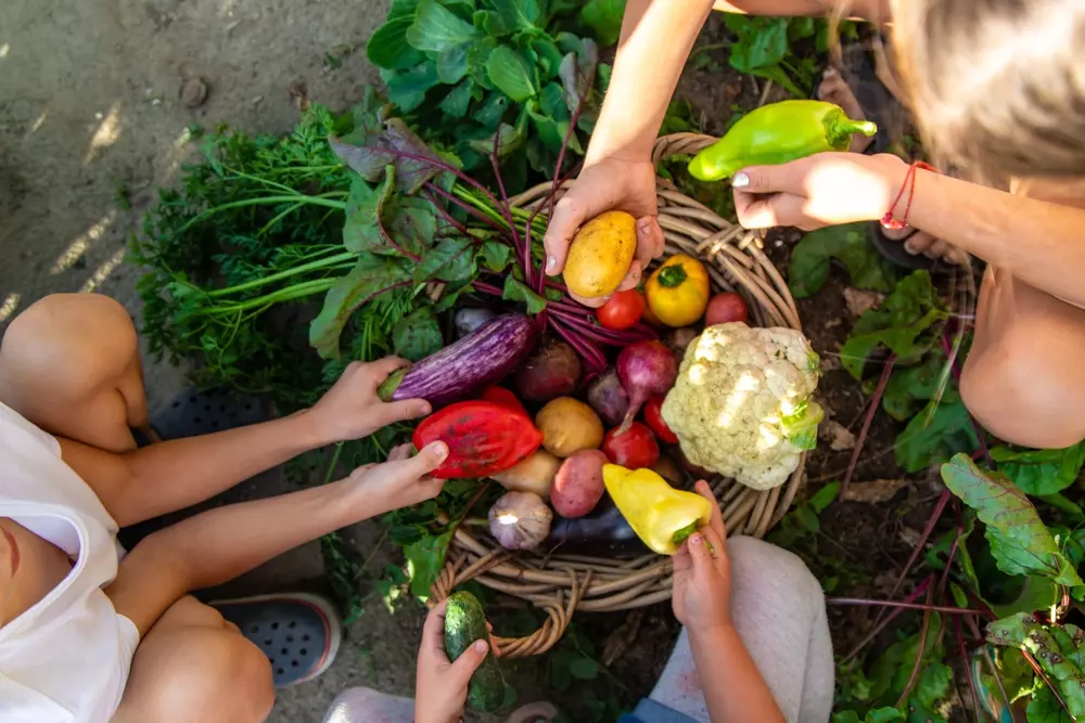 Crianças colhendo e explorando uma variedade de hortaliças e legumes frescos em uma plantação orgânica, promovendo educação ambiental.