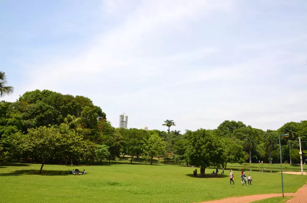 Parque em Goiânia com árvores e espaço verde, destacando a cidade considerada uma das mais arborizadas do Brasil, ideal para lazer e contato com a natureza.