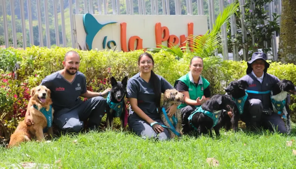 Equipe da La Perla promovendo o bem-estar animal em Medellín, parte do movimento da cidade para integrar políticas públicas de proteção animal