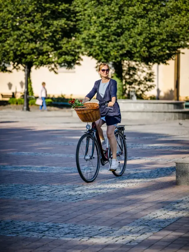 webstory bike