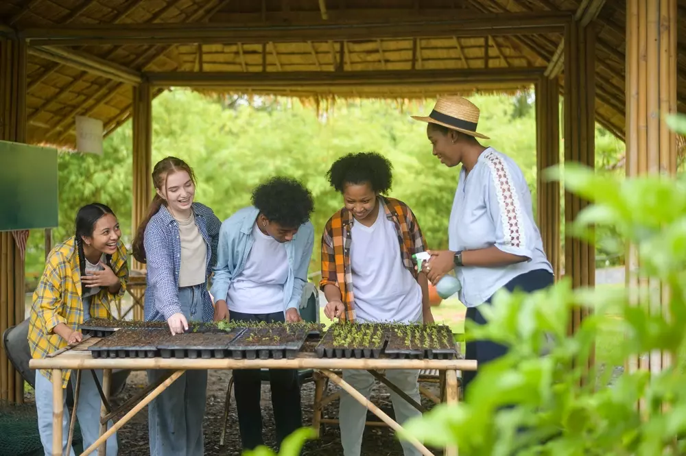 Grupo de jovens participando de uma atividade de educação climática ao ar livre, aprendendo sobre sustentabilidade e transformação social